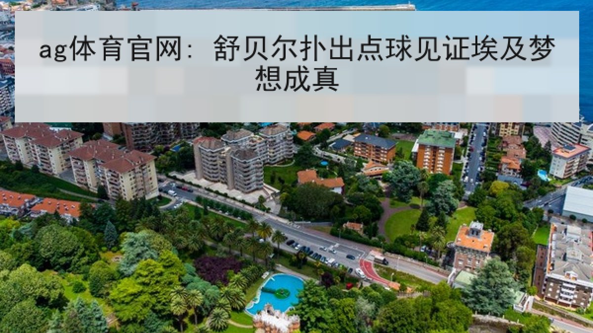 ag体育官网: 舒贝尔扑出点球见证埃及梦想成真