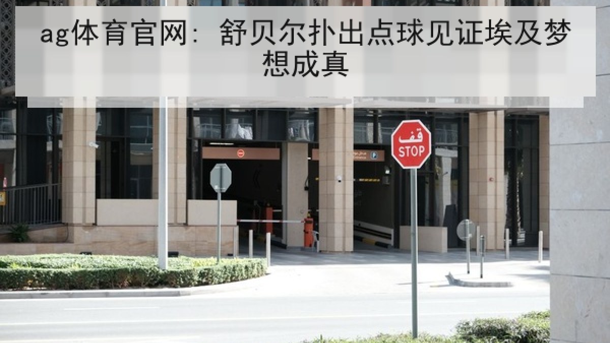 ag体育官网: 舒贝尔扑出点球见证埃及梦想成真